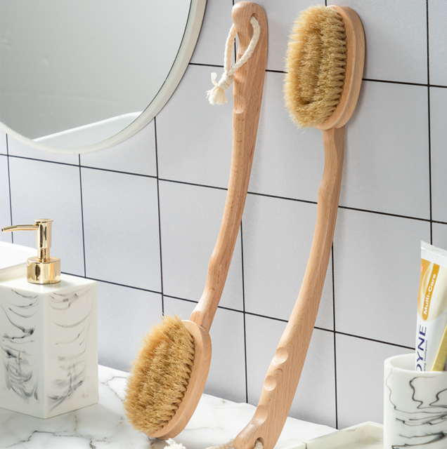 The important role of bristle brushes in our lives